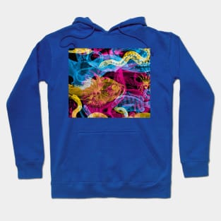 May the snake be with you Hoodie